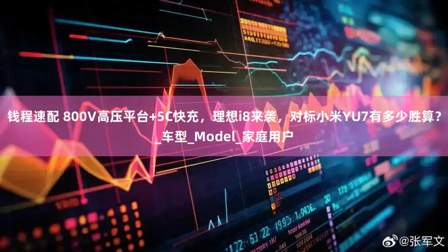 钱程速配 800V高压平台+5C快充，理想i8来袭，对标小米YU7有多少胜算？_车型_Model_家庭用户