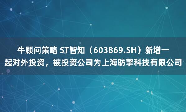 牛顾问策略 ST智知（603869.SH）新增一起对外投资，被投资公司为上海昉擎科技有限公司