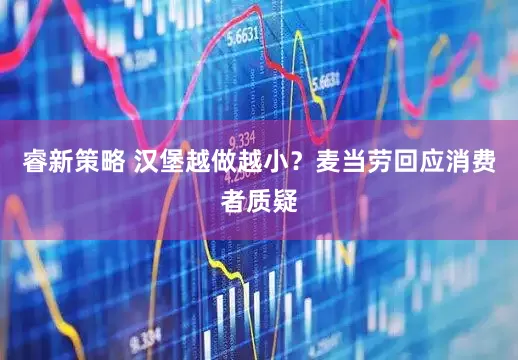 睿新策略 汉堡越做越小？麦当劳回应消费者质疑
