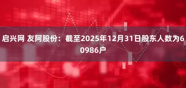 启兴网 友阿股份：截至2025年12月31日股东人数为60986户
