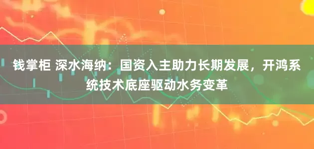 钱掌柜 深水海纳：国资入主助力长期发展，开鸿系统技术底座驱动水务变革